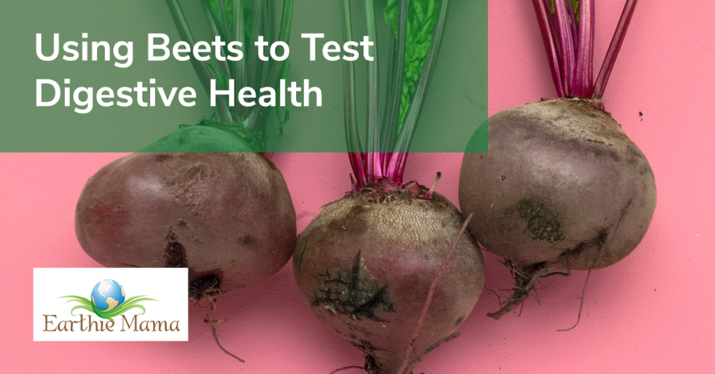 Beets to Test Digestive System Earthie Mama