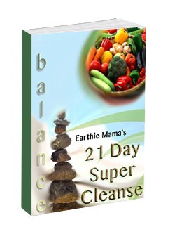 21 Day Cleanse Ebook
