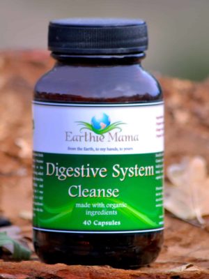 Digestive System Cleanse