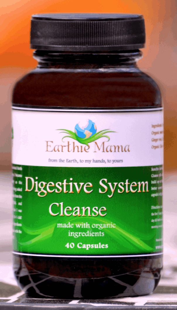 digestive-system-cleanse-earthie-mama