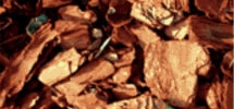 Cedarwood