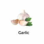 Garlic Garlic