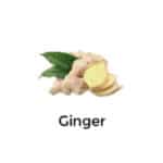 Ginger