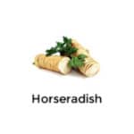 Horseradish Horseradish