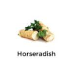 Horseradish