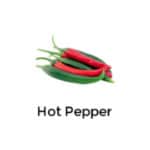 Hot Pepper