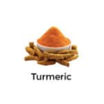 Turmeric Turmeric