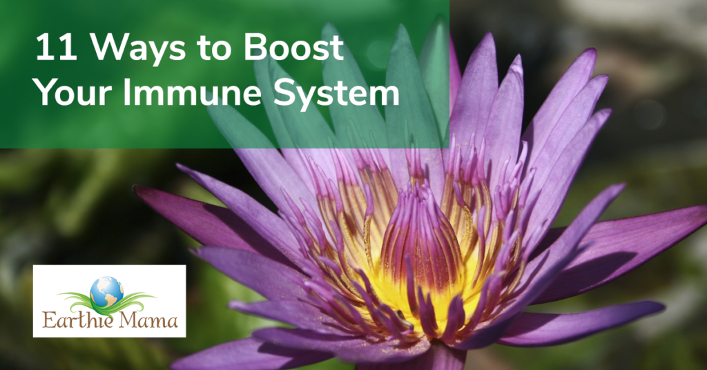 Boost Your Immune System