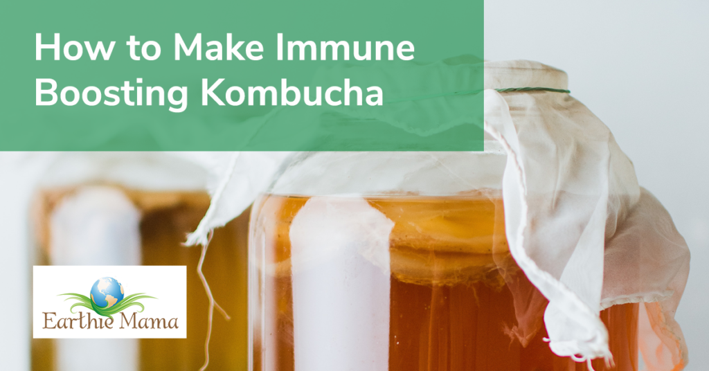 Make Immune Boosting Kombucha